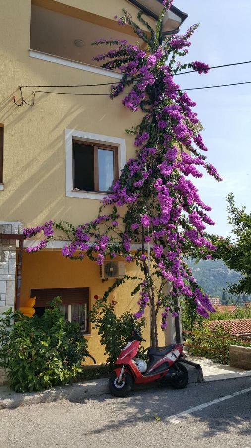 Apatmani Milena * Opatija