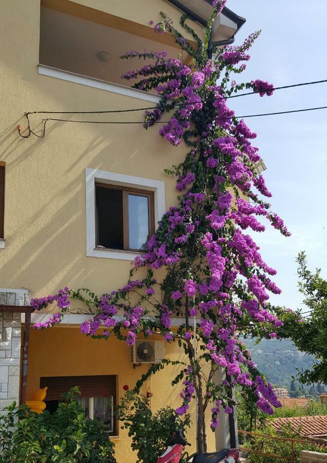 Apatmani Milena * Opatija